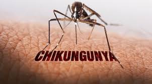 Chikungunya (CHIKV) 2017