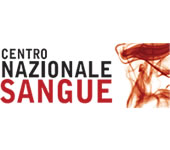 CONSULTAZIONE PLENARIA 2013