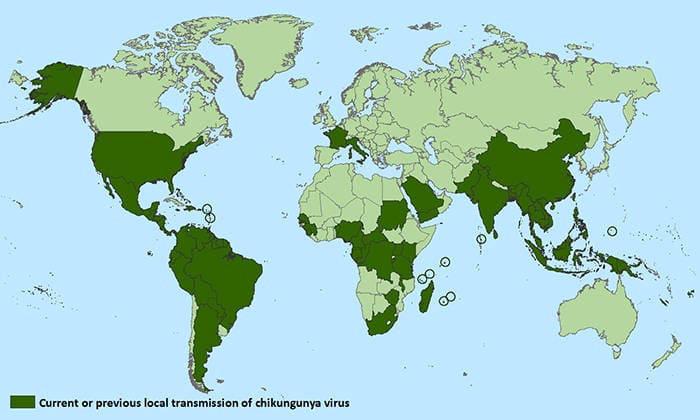 Chikungunya Virus