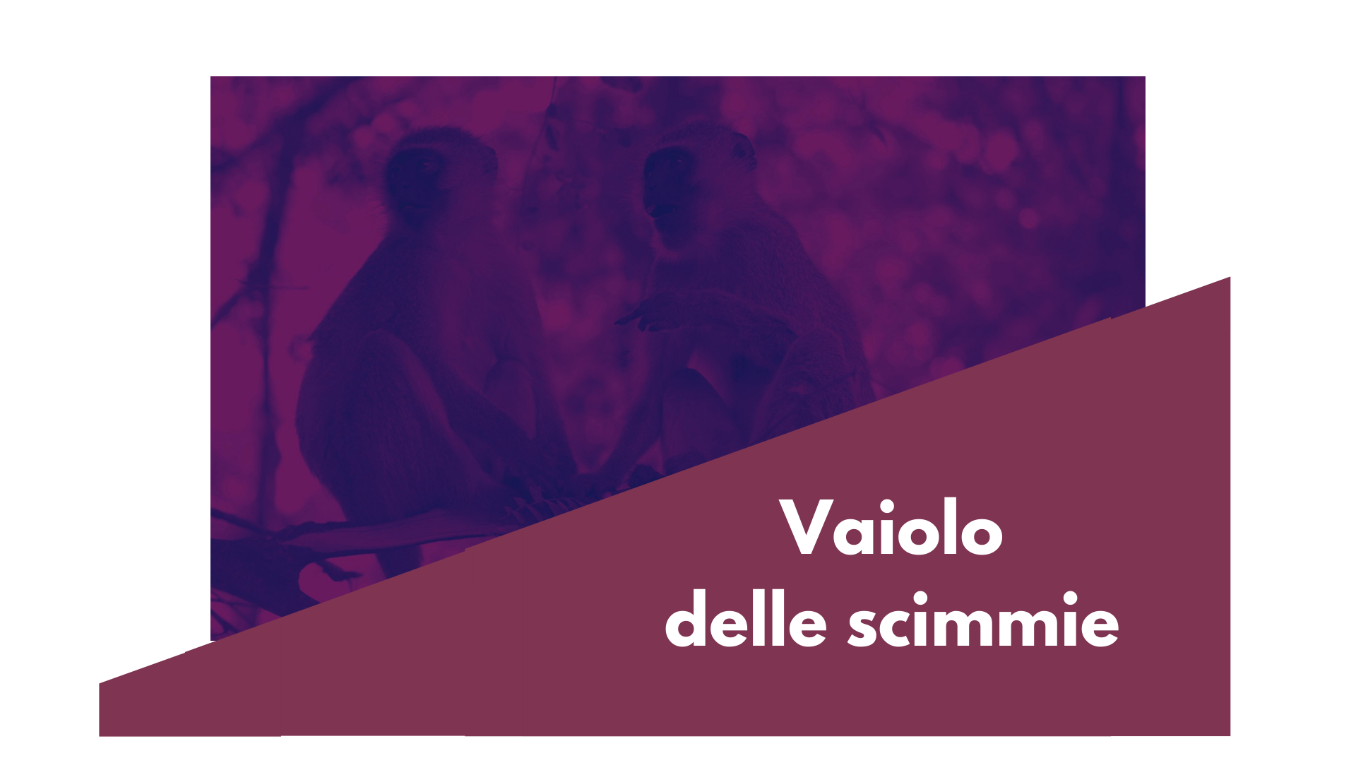 Vaiolo delle Scimmie