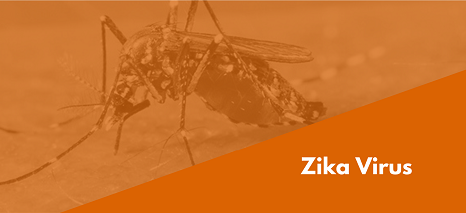 Zika virus
