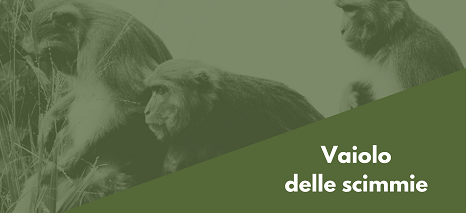 Vaiolo delle Scimmie