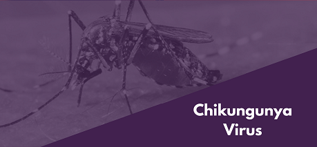 Chikungunya Virus
