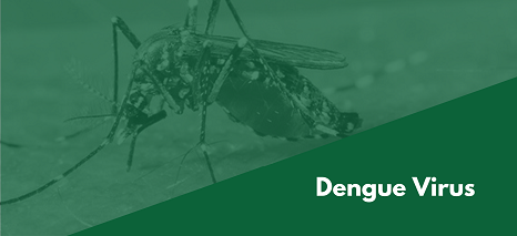 Dengue 2018-2025