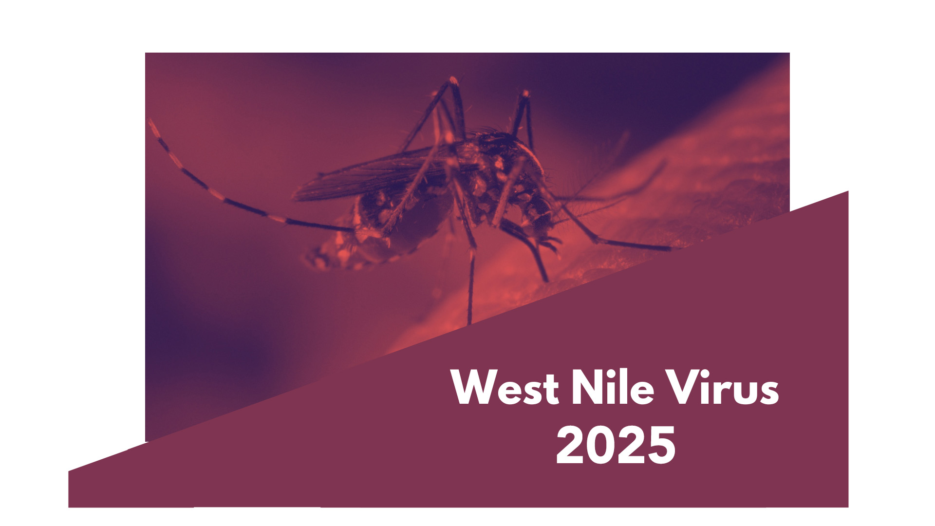 West Nile Virus 2025